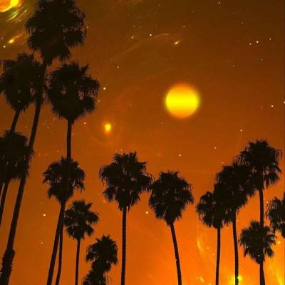 ng体育电子游戏下载手机版